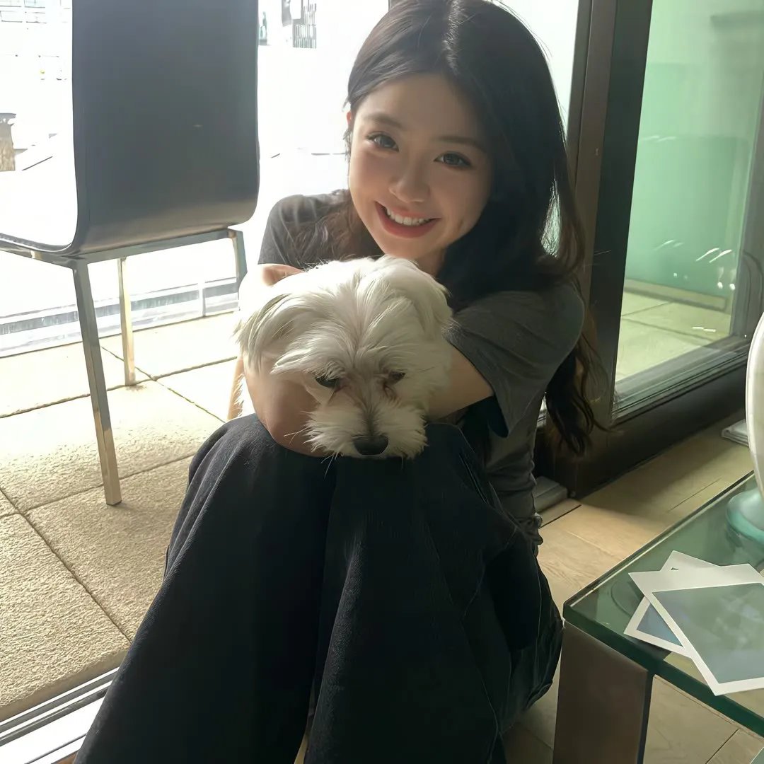 春满销金城